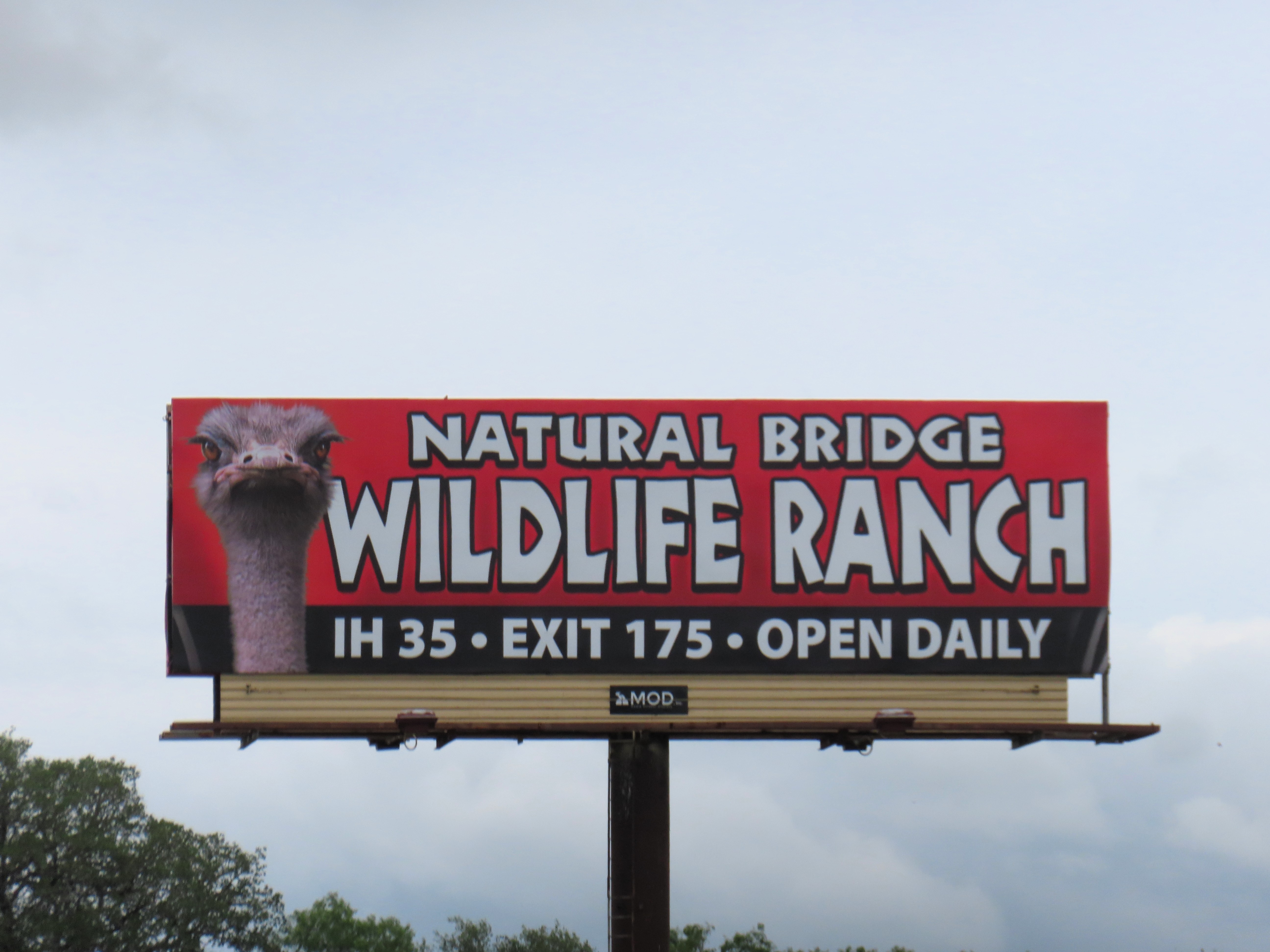 Natural Bridge Wildlife Ranch billboard in Pleasanton, TX
